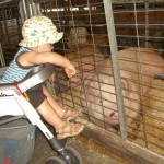 Dane County Fair